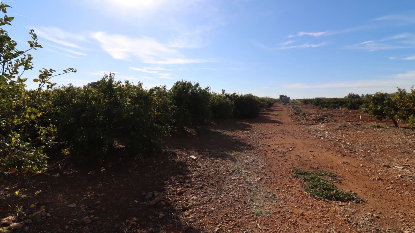 Grunde uden byggetilladelser til salg i Vinaros - € 26.600 (Ref: 8046426)