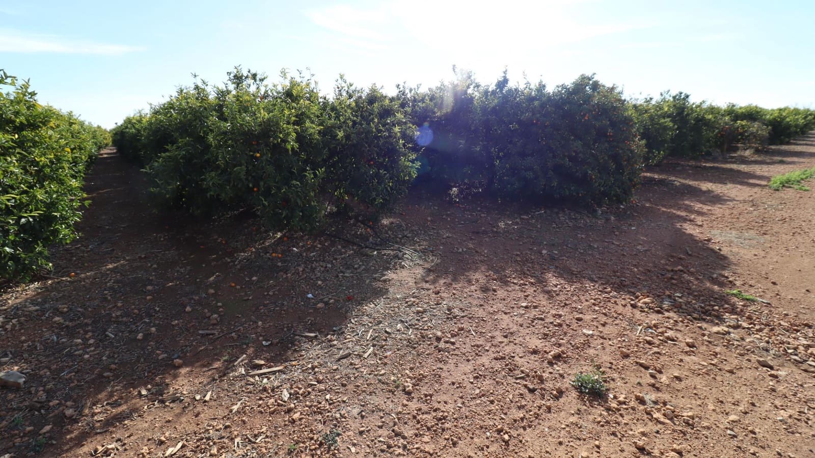 Grunde uden byggetilladelser til salg i Vinaros - € 26.600 (Ref: 8046426)