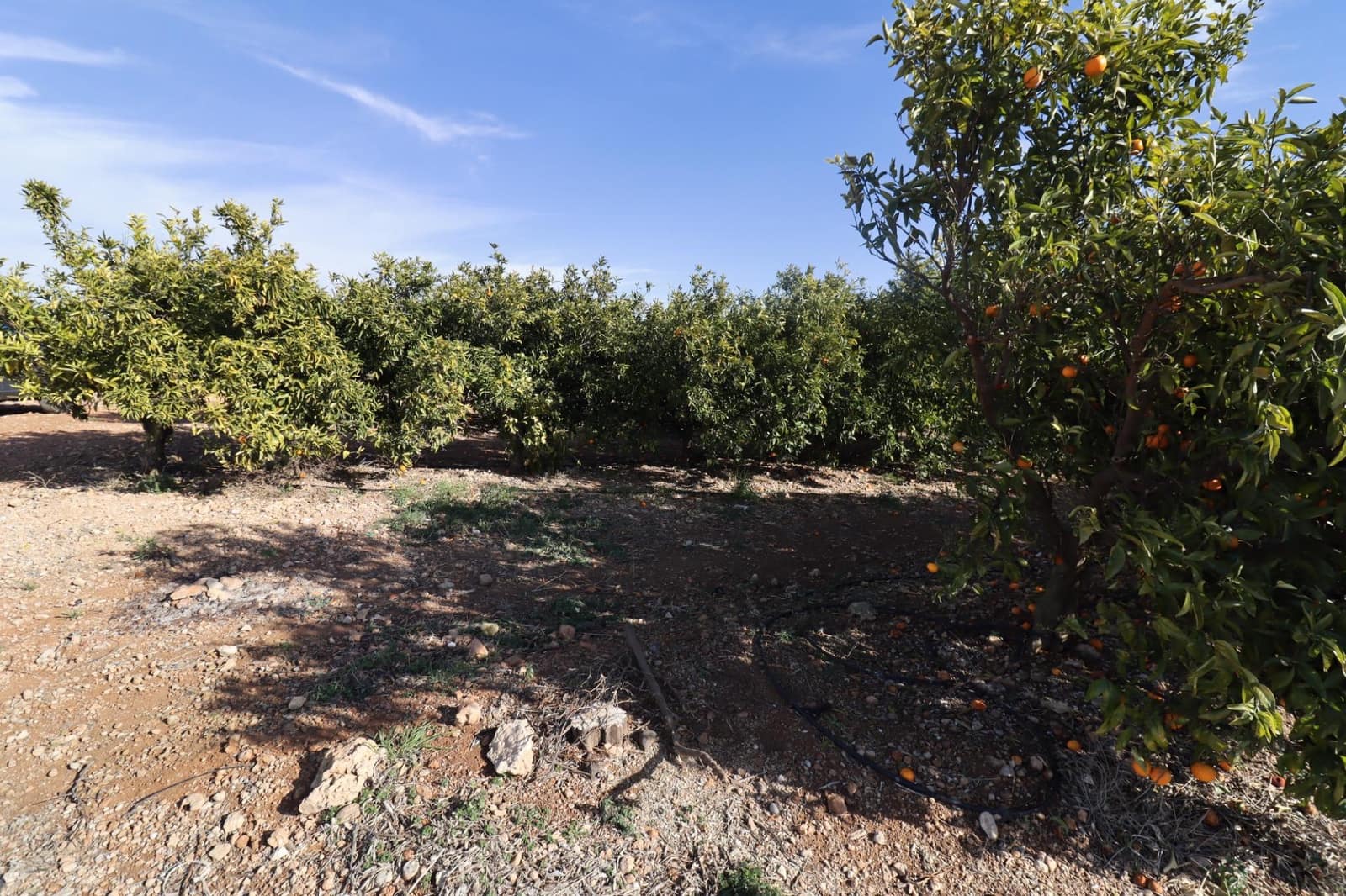 Grunde uden byggetilladelser til salg i Vinaros - € 26.600 (Ref: 8046426)