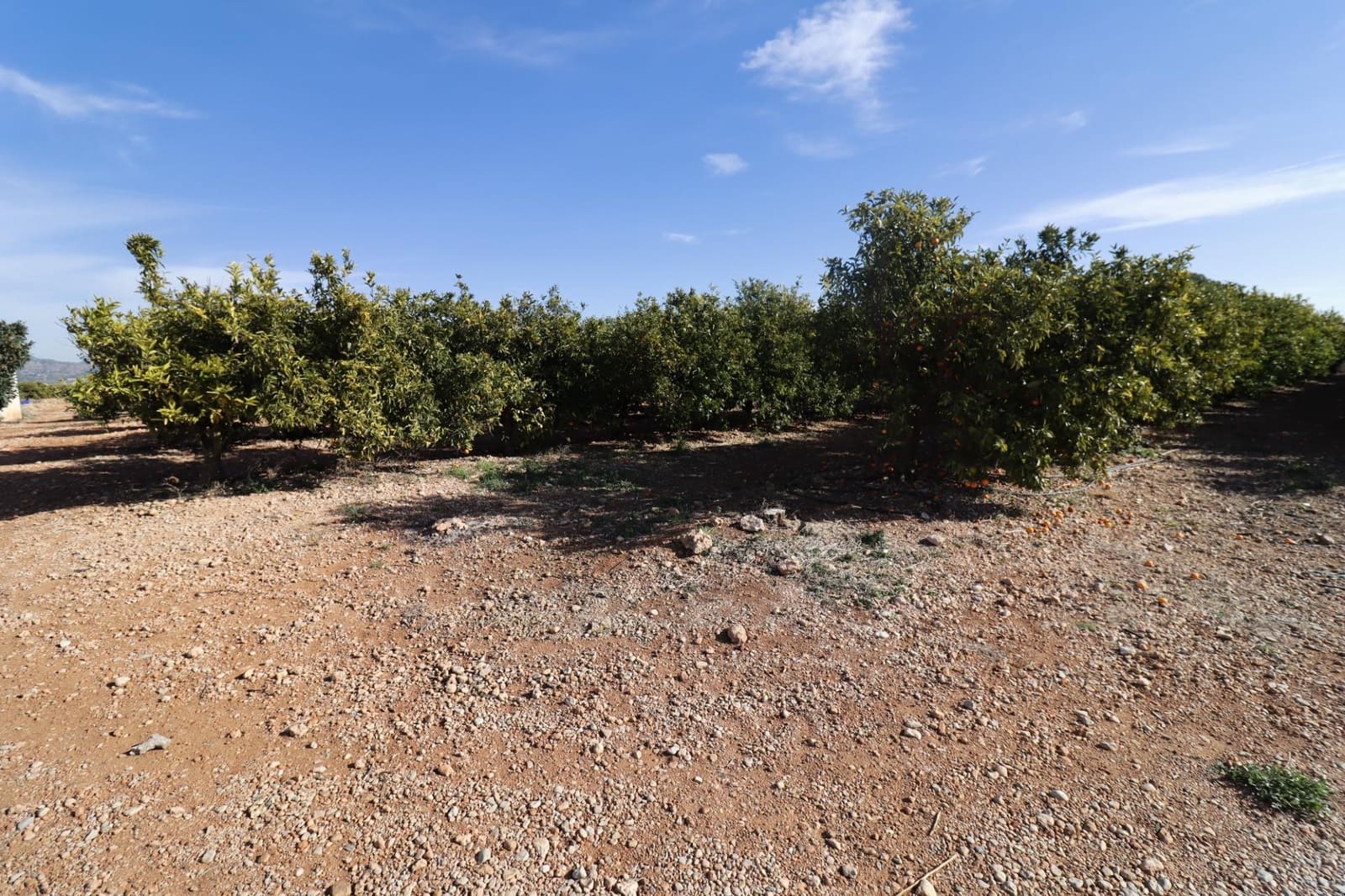 Grunde uden byggetilladelser til salg i Vinaros - € 26.600 (Ref: 8046426)