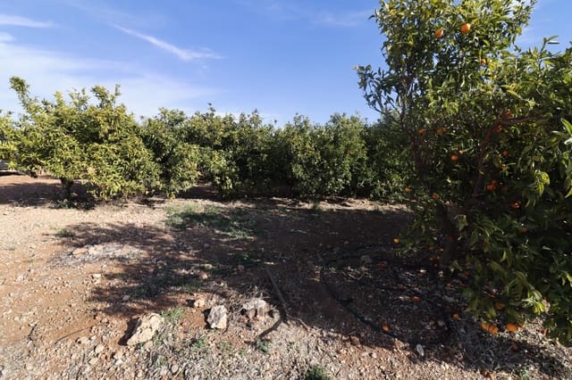 Grunde uden byggetilladelser til salg i Vinaròs - € 26.600 (Ref: 8046426)