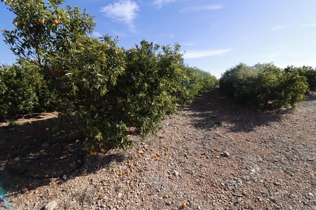 Grunde uden byggetilladelser til salg i Vinaròs - € 26.600 (Ref: 8046426)