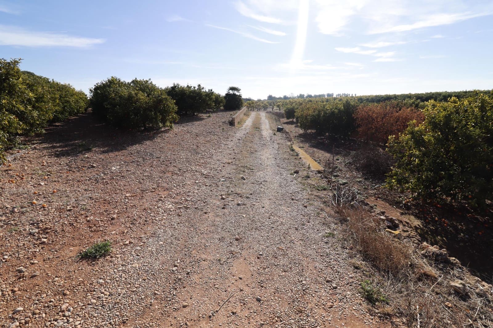 Grunde uden byggetilladelser til salg i Vinaros - € 26.600 (Ref: 8046426)