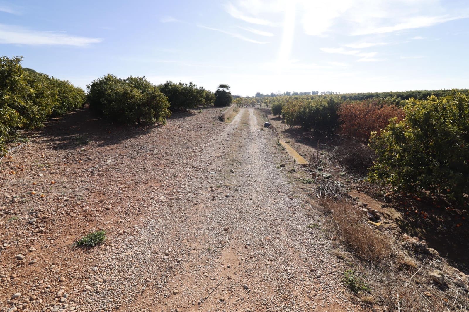 Grunde uden byggetilladelser til salg i Vinaros - € 26.600 (Ref: 8046426)