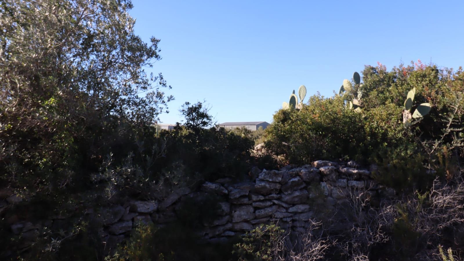 Grunde uden byggetilladelser til salg i Vinaros - € 50.000 (Ref: 8050224)