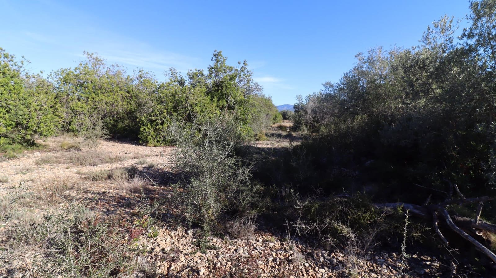 Grunde uden byggetilladelser til salg i Vinaros - € 50.000 (Ref: 8050224)