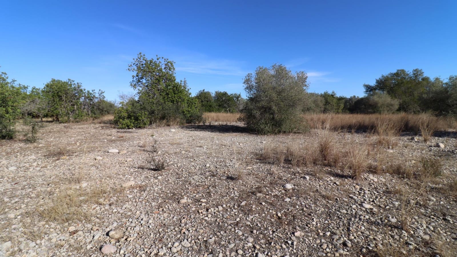 Grunde uden byggetilladelser til salg i Vinaros - € 50.000 (Ref: 8050224)