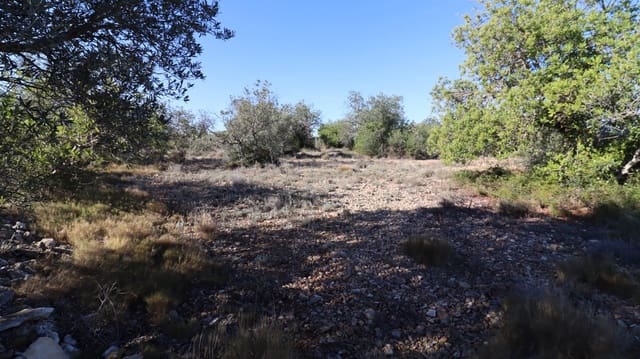 Grunde uden byggetilladelser til salg i Vinaròs - € 50.000 (Ref: 8050224)