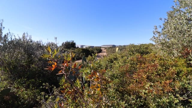 Grunde uden byggetilladelser til salg i Vinaròs - € 50.000 (Ref: 8050224)