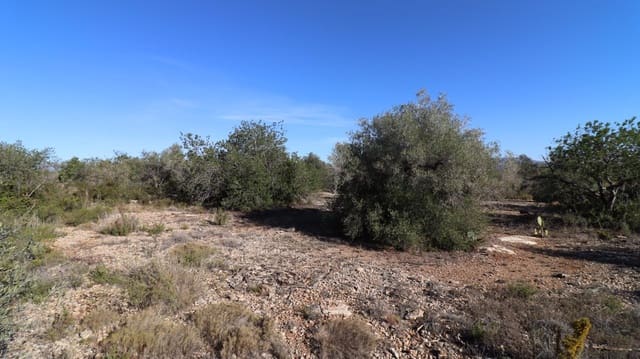 Grunde uden byggetilladelser til salg i Vinaròs - € 50.000 (Ref: 8050224)