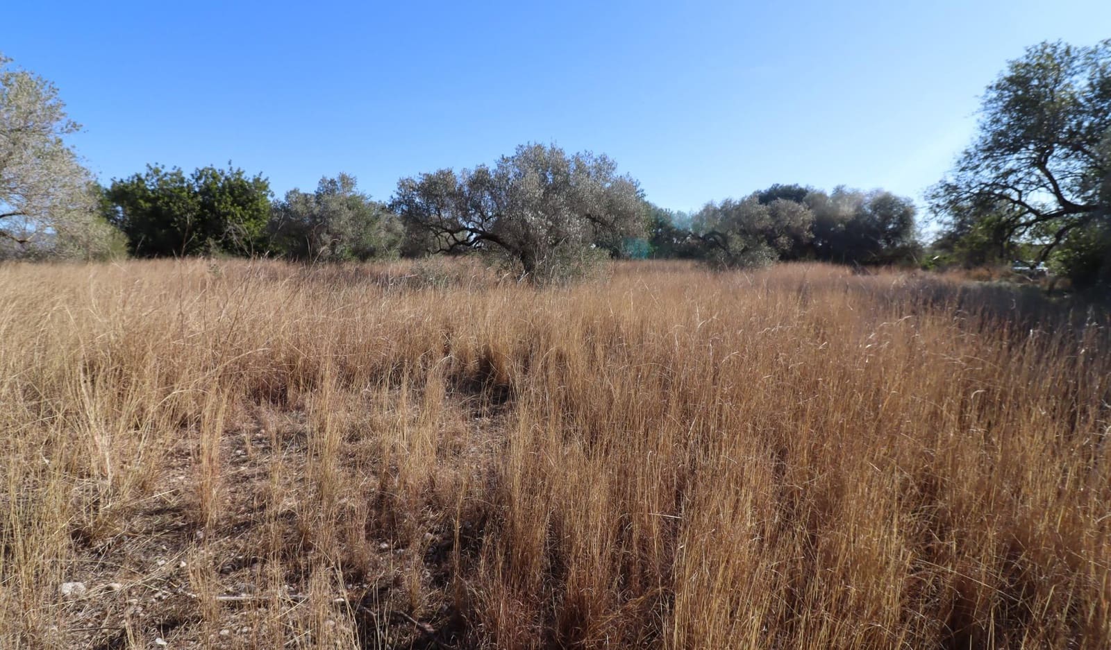 Grunde uden byggetilladelser til salg i Vinaros - € 50.000 (Ref: 8050224)