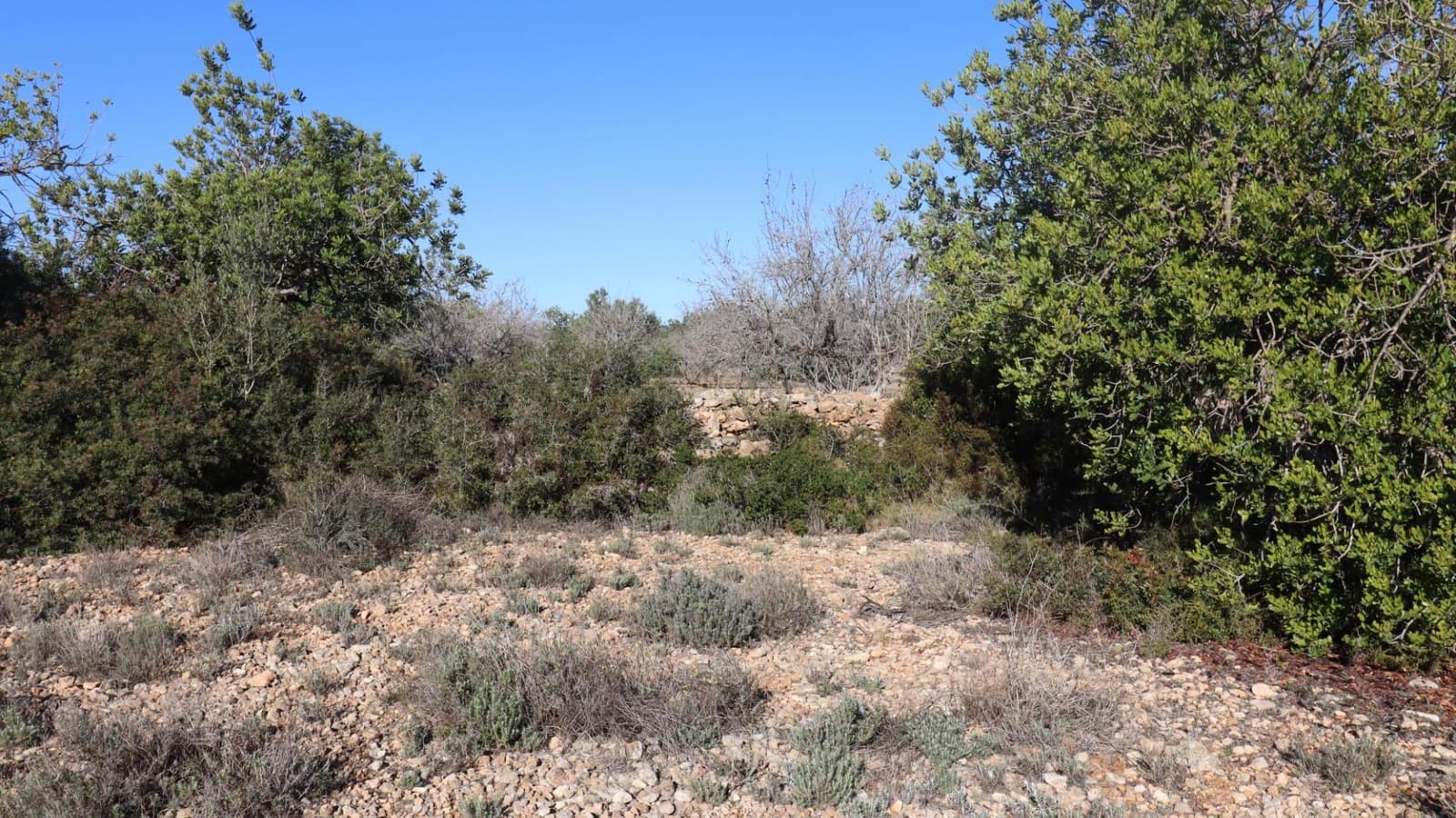 Grunde uden byggetilladelser til salg i Vinaros - € 50.000 (Ref: 8050224)