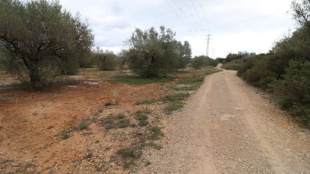 Rakentamaton maa myytävänä paikassa Ulldecona - 12 900 € (Ref: 8335332)