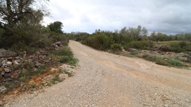 Rakentamaton maa myytävänä paikassa Ulldecona - 12 900 € (Ref: 8335332)