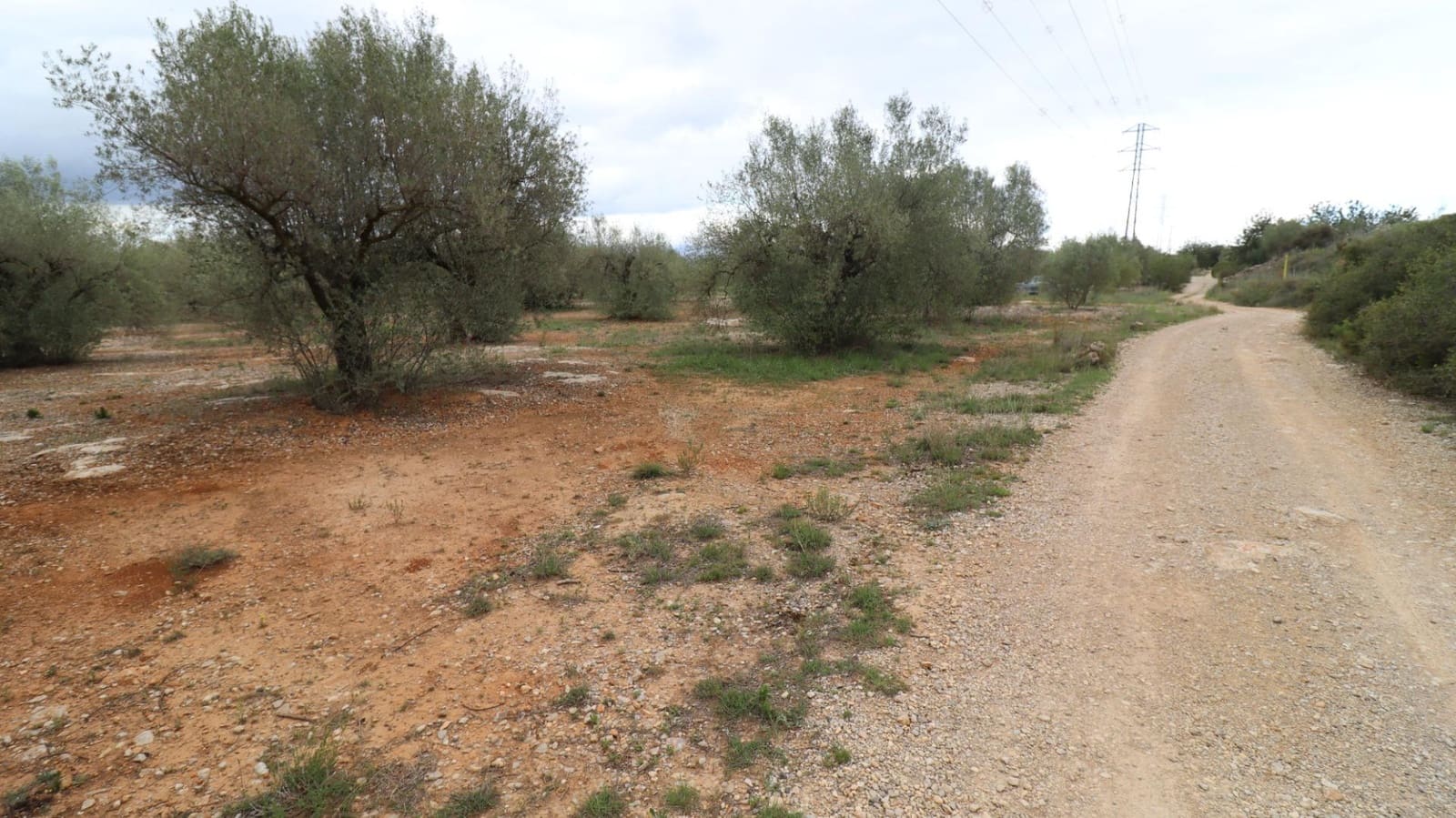 Grunde uden byggetilladelser til salg i Ulldecona - € 12.900 (Ref: 8335332)