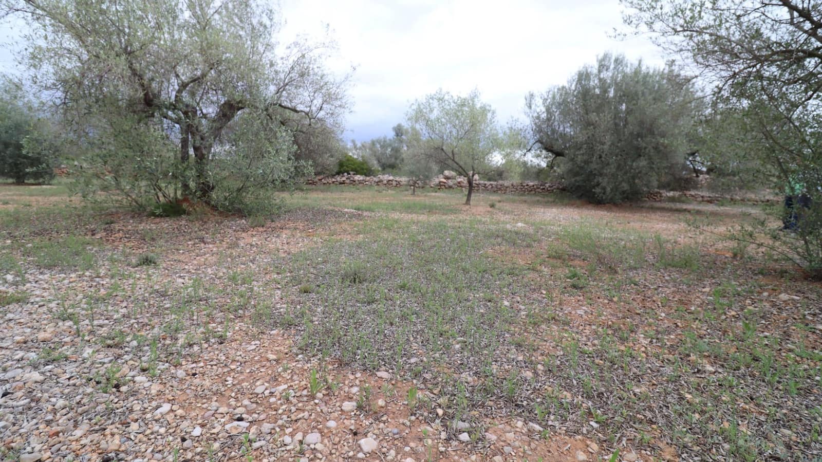 Grunde uden byggetilladelser til salg i Ulldecona - € 12.900 (Ref: 8335332)