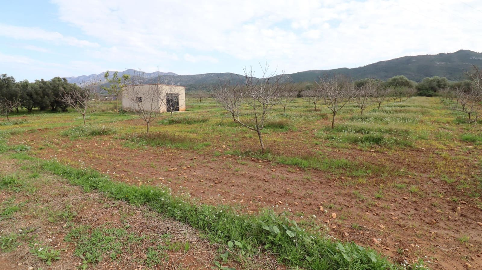 Ubebygd land til salgs i Ulldecona - € 45 000 (Ref: 8662507)