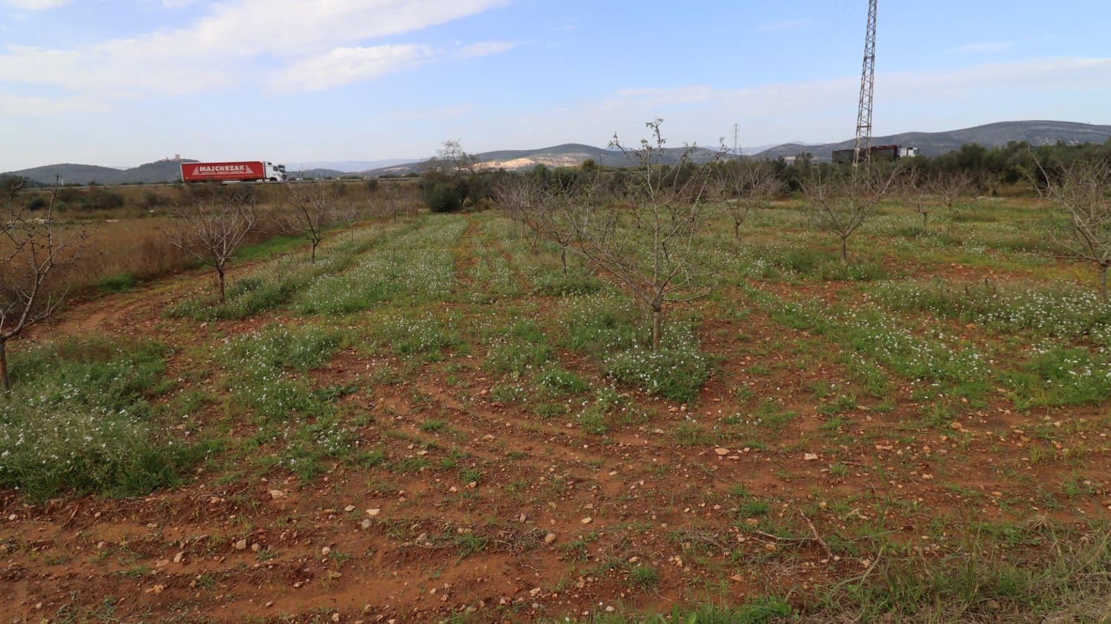 Ubebygd land til salgs i Ulldecona - € 45 000 (Ref: 8662507)