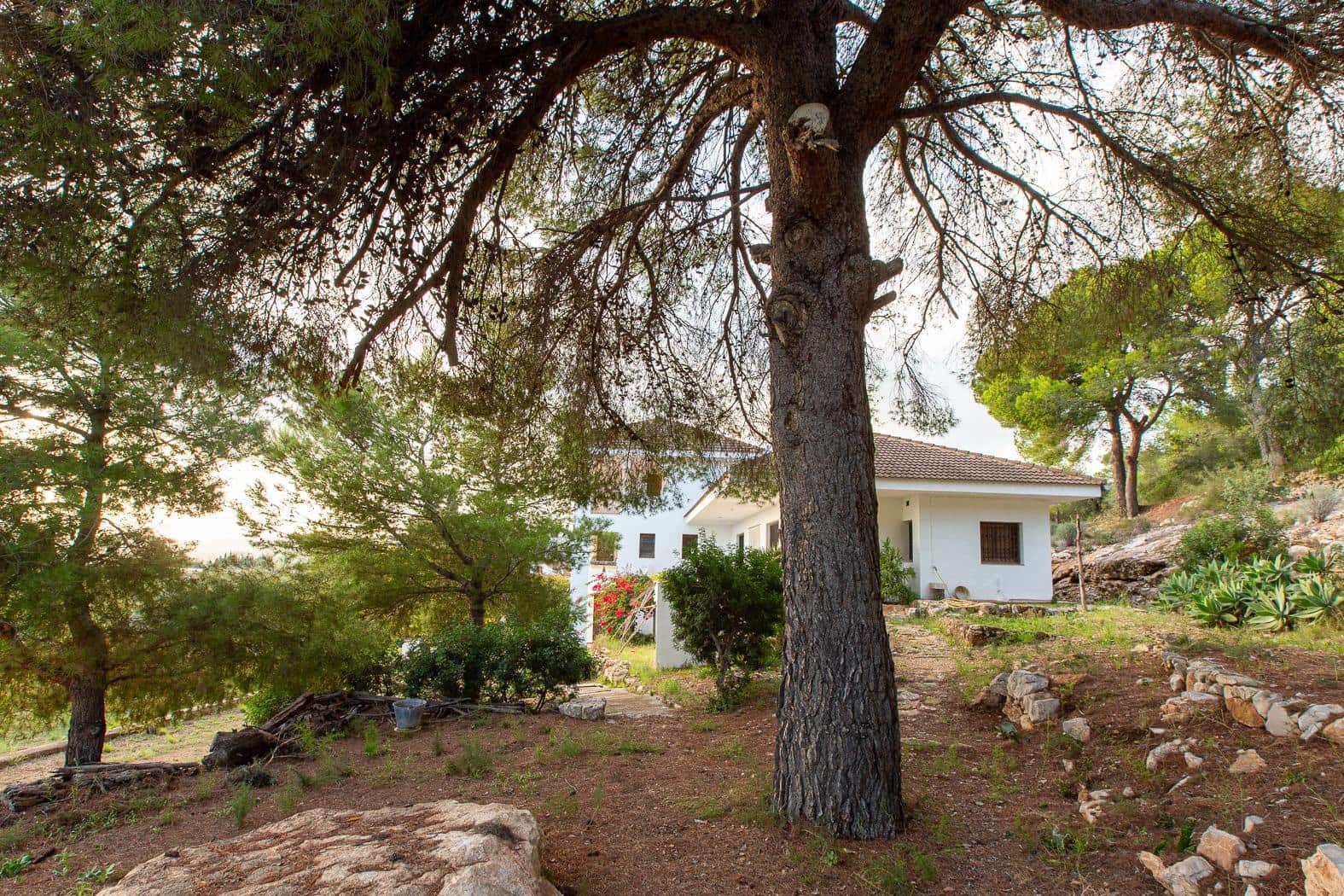 6 soveværelse Finca/Landehus til salg i Alcanar - € 785.000 (Ref: 8836602)