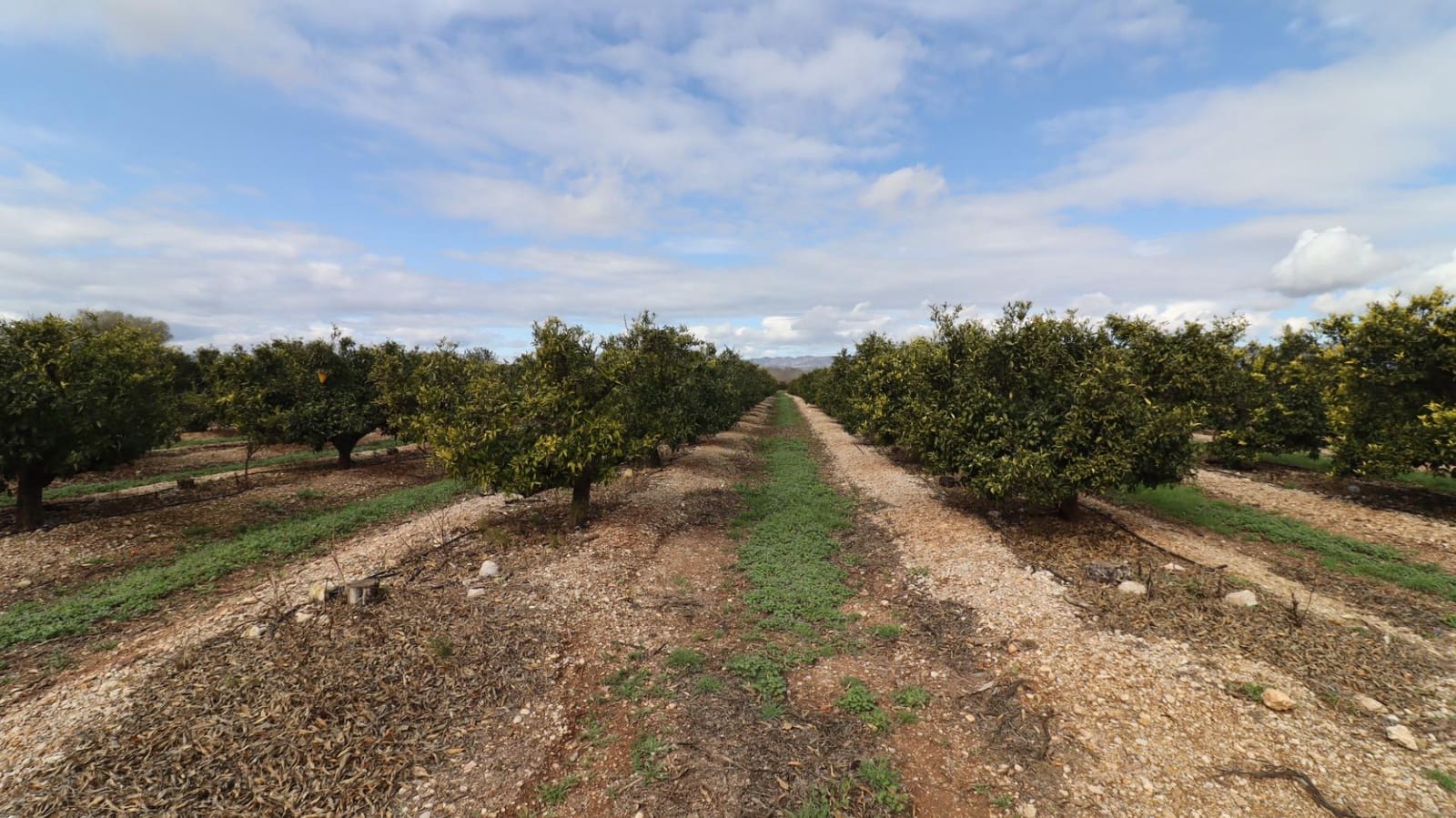 Grunde uden byggetilladelser til salg i San Rafael del Rio / Sant Rafael del Riu - € 342.000 (Ref: 8869625)