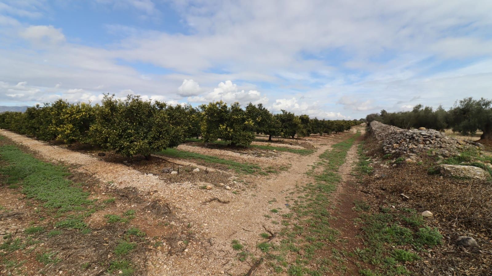 Grunde uden byggetilladelser til salg i San Rafael del Rio / Sant Rafael del Riu - € 342.000 (Ref: 8869625)