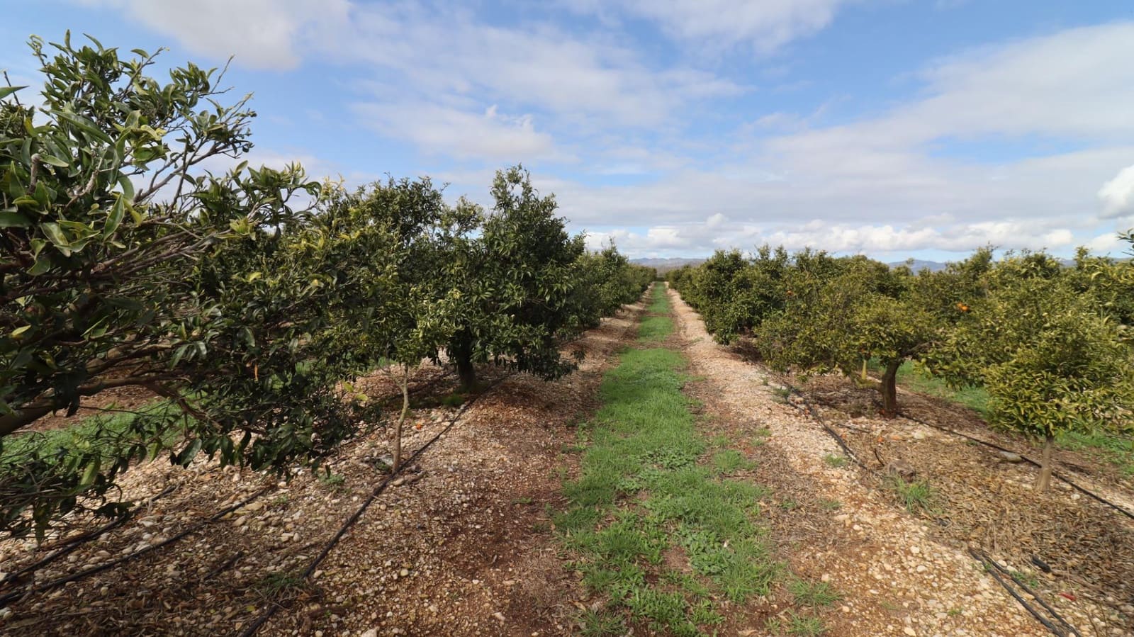 Grunde uden byggetilladelser til salg i San Rafael del Rio / Sant Rafael del Riu - € 342.000 (Ref: 8869625)