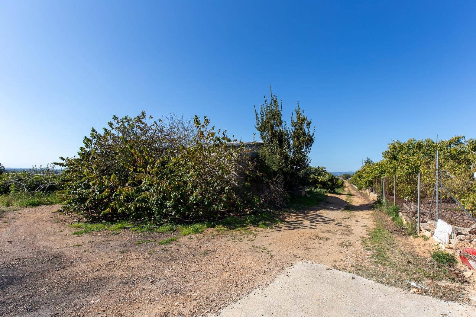 Grunde uden byggetilladelser til salg i Alcanar - € 147.500 (Ref: 8905469)