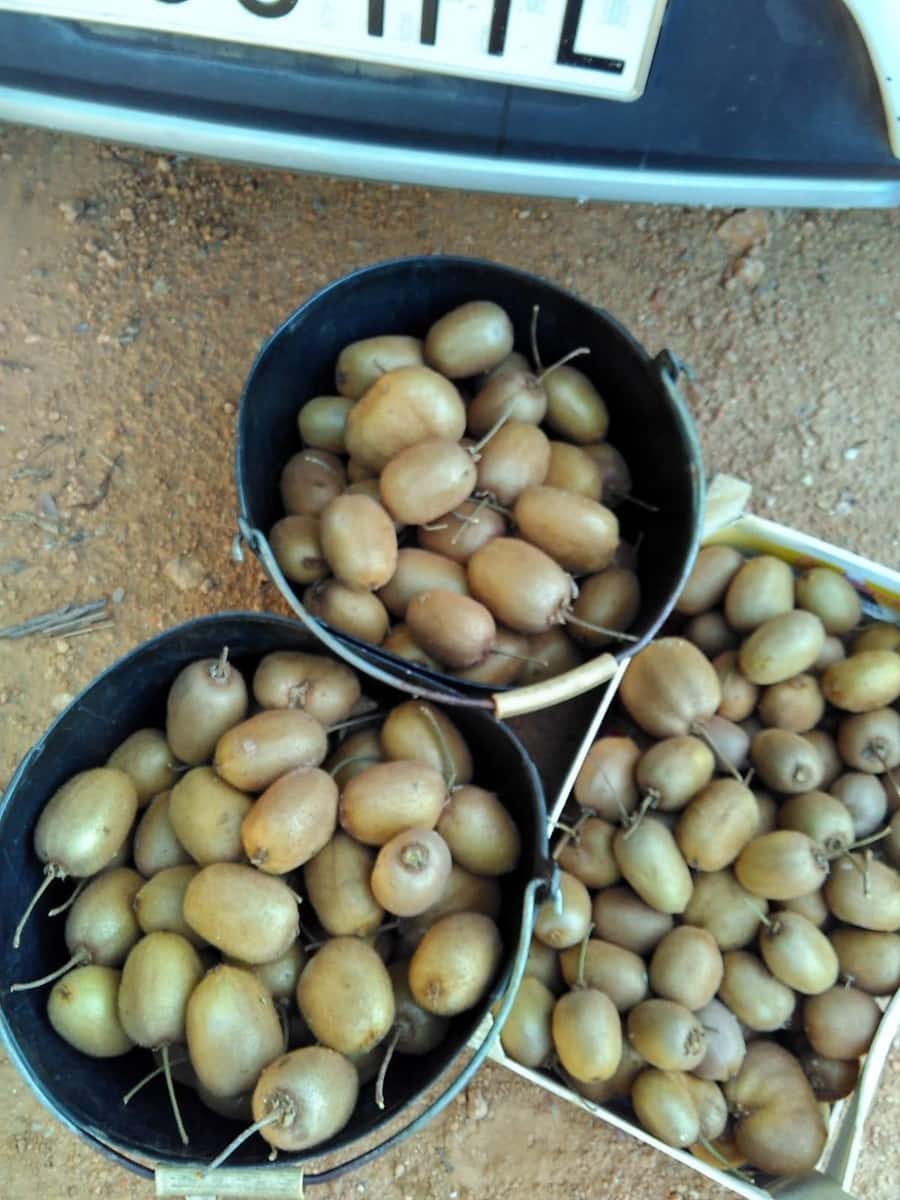 Grunde uden byggetilladelser til salg i Alcanar - € 147.500 (Ref: 8905469)