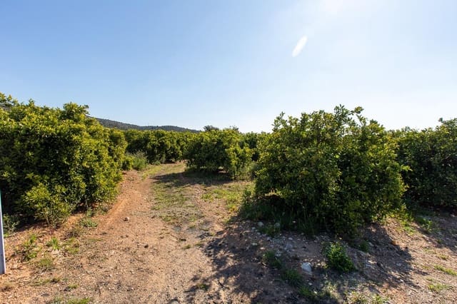 Undeveloped Land for sale in Alcanar - € 147,500 (Ref: 8905469)