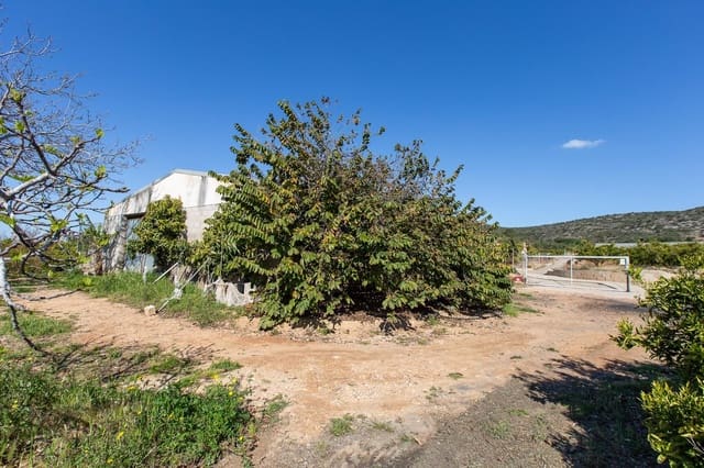 Undeveloped Land for sale in Alcanar - € 147,500 (Ref: 8905469)