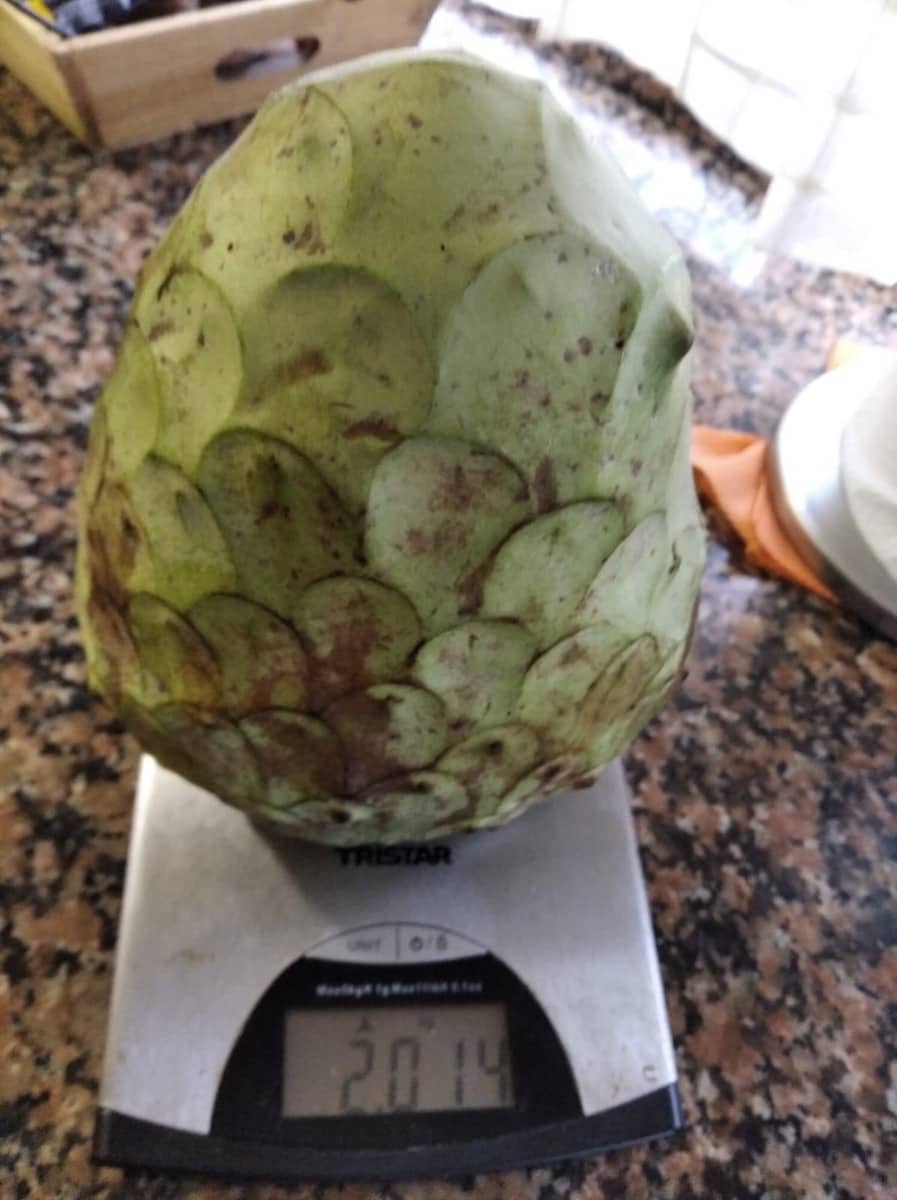 Grunde uden byggetilladelser til salg i Alcanar - € 147.500 (Ref: 8905469)