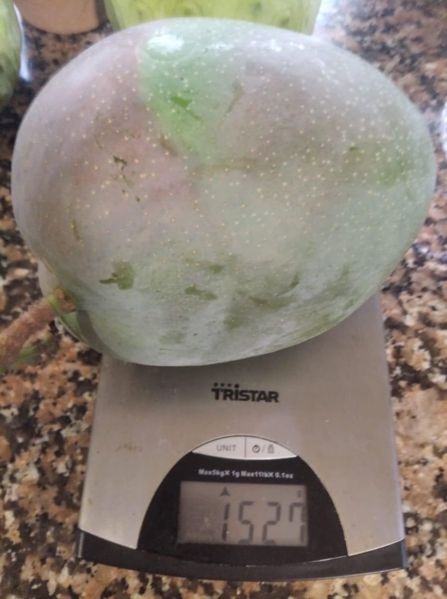 Grunde uden byggetilladelser til salg i Alcanar - € 147.500 (Ref: 8905469)