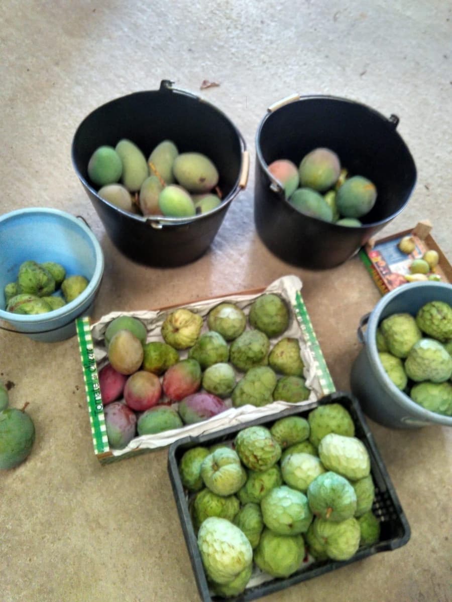 Grunde uden byggetilladelser til salg i Alcanar - € 147.500 (Ref: 8905469)