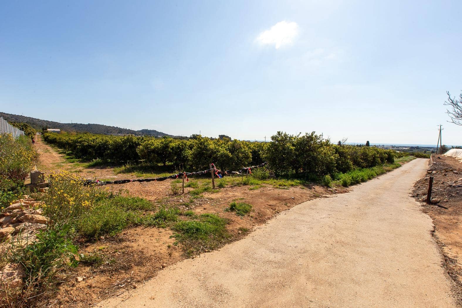 Grunde uden byggetilladelser til salg i Alcanar - € 147.500 (Ref: 8905469)