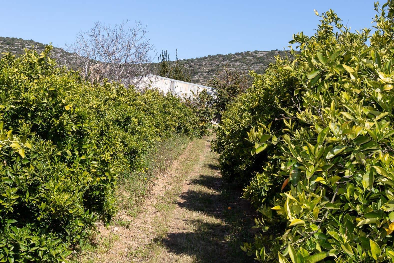 Grunde uden byggetilladelser til salg i Alcanar - € 147.500 (Ref: 8905469)