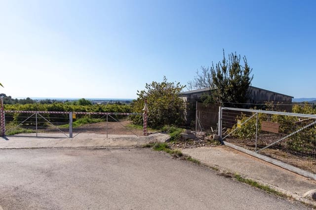 Undeveloped Land for sale in Alcanar - € 147,500 (Ref: 8905469)