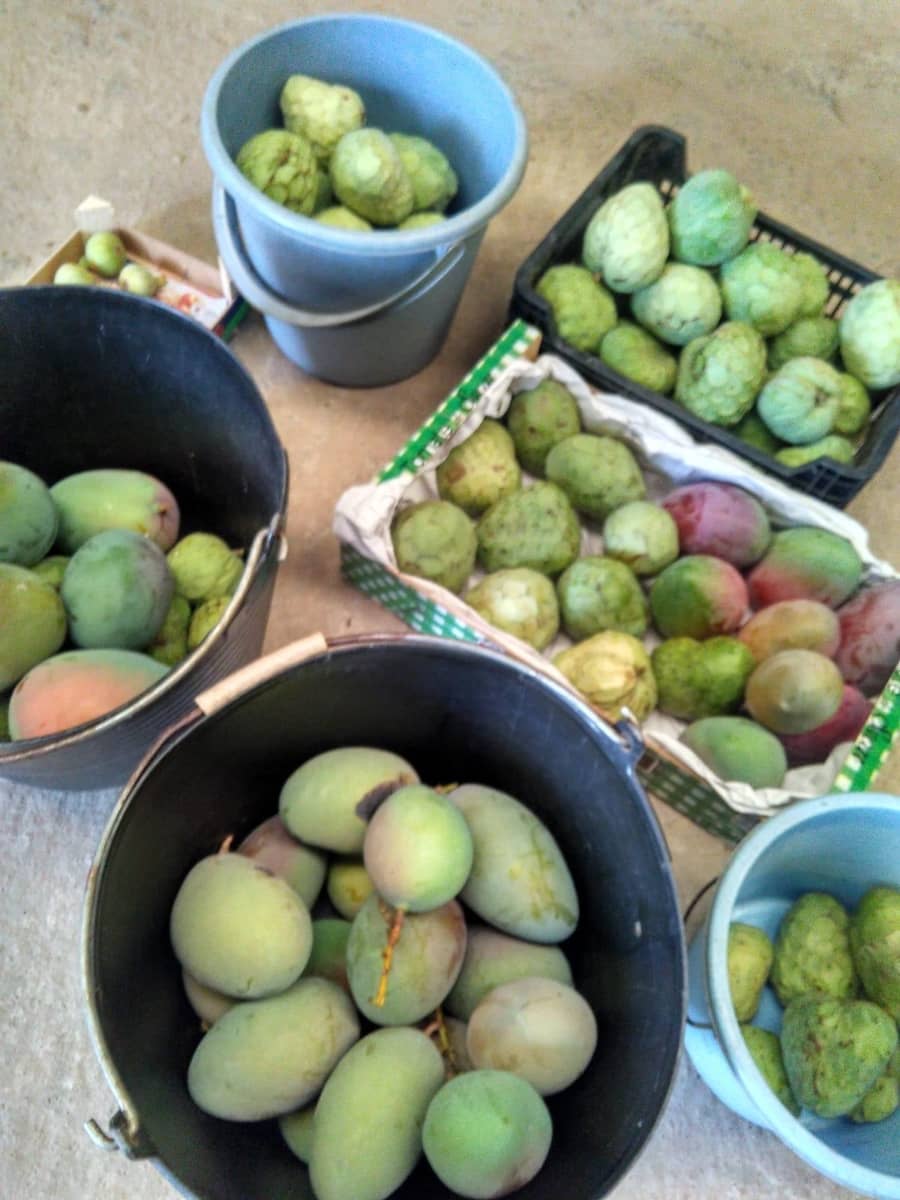 Grunde uden byggetilladelser til salg i Alcanar - € 147.500 (Ref: 8905469)