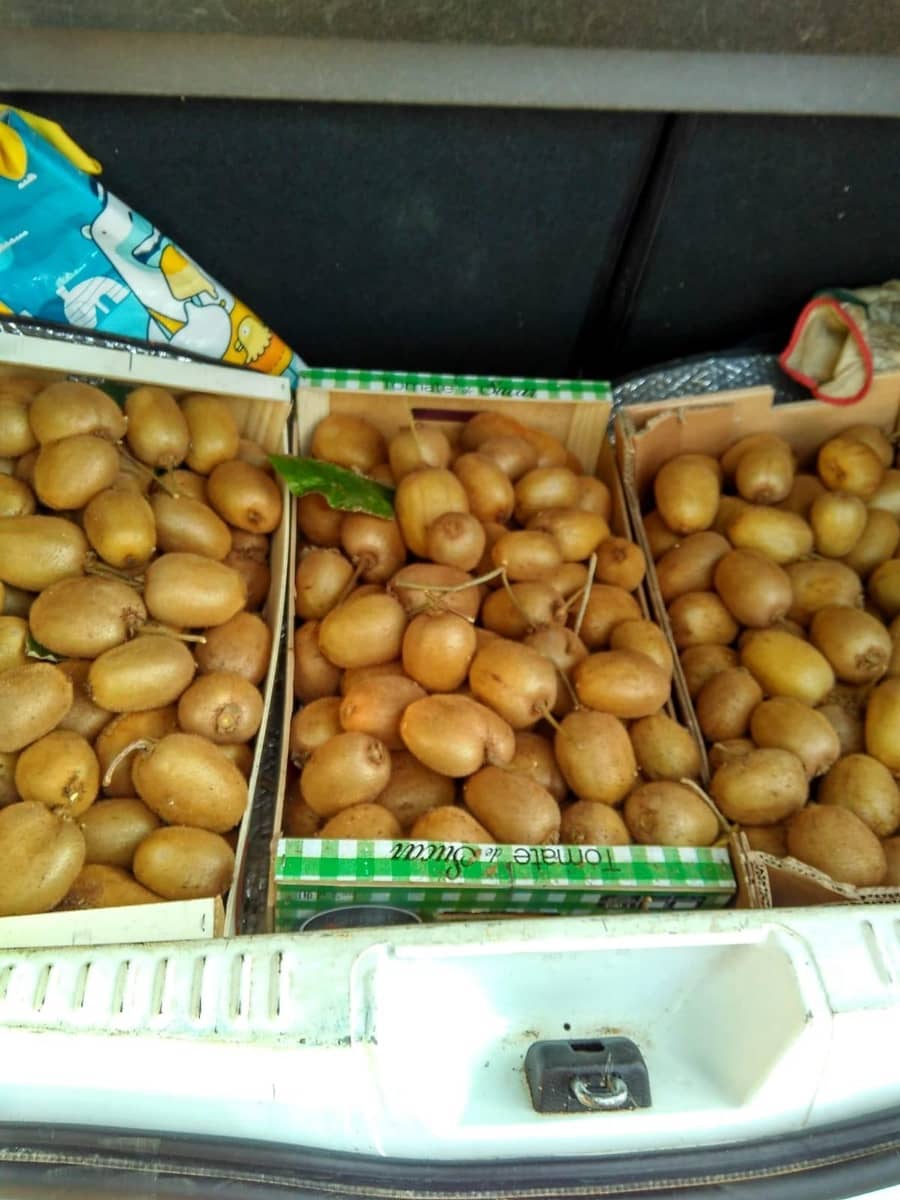 Grunde uden byggetilladelser til salg i Alcanar - € 147.500 (Ref: 8905469)