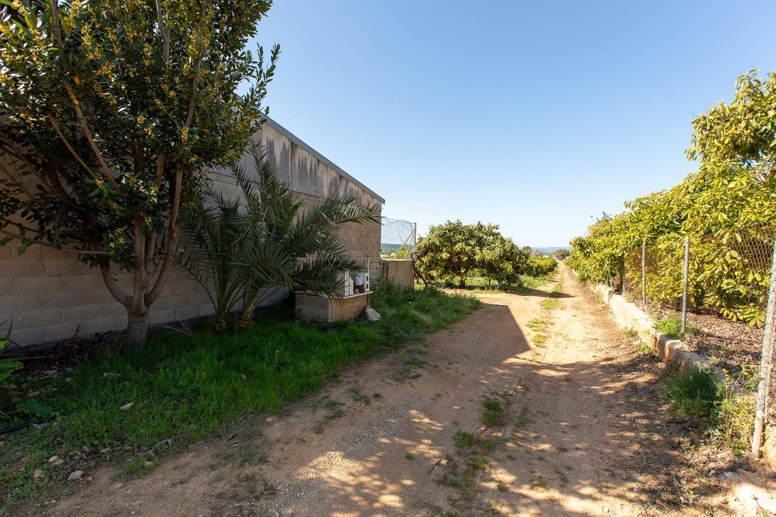 Grunde uden byggetilladelser til salg i Alcanar - € 147.500 (Ref: 8905469)