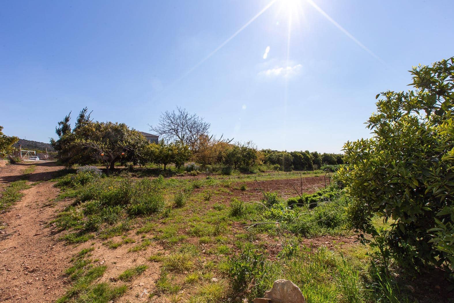 Grunde uden byggetilladelser til salg i Alcanar - € 147.500 (Ref: 8905469)