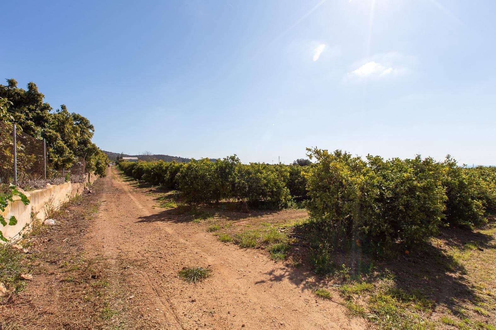 Grunde uden byggetilladelser til salg i Alcanar - € 147.500 (Ref: 8905469)