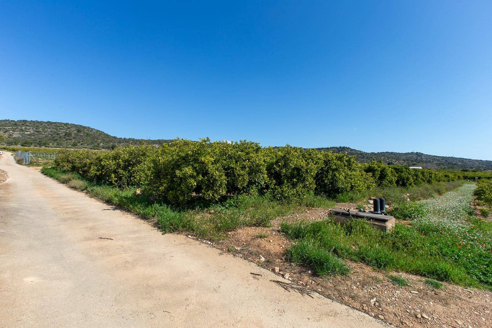 Grunde uden byggetilladelser til salg i Alcanar - € 147.500 (Ref: 8905469)