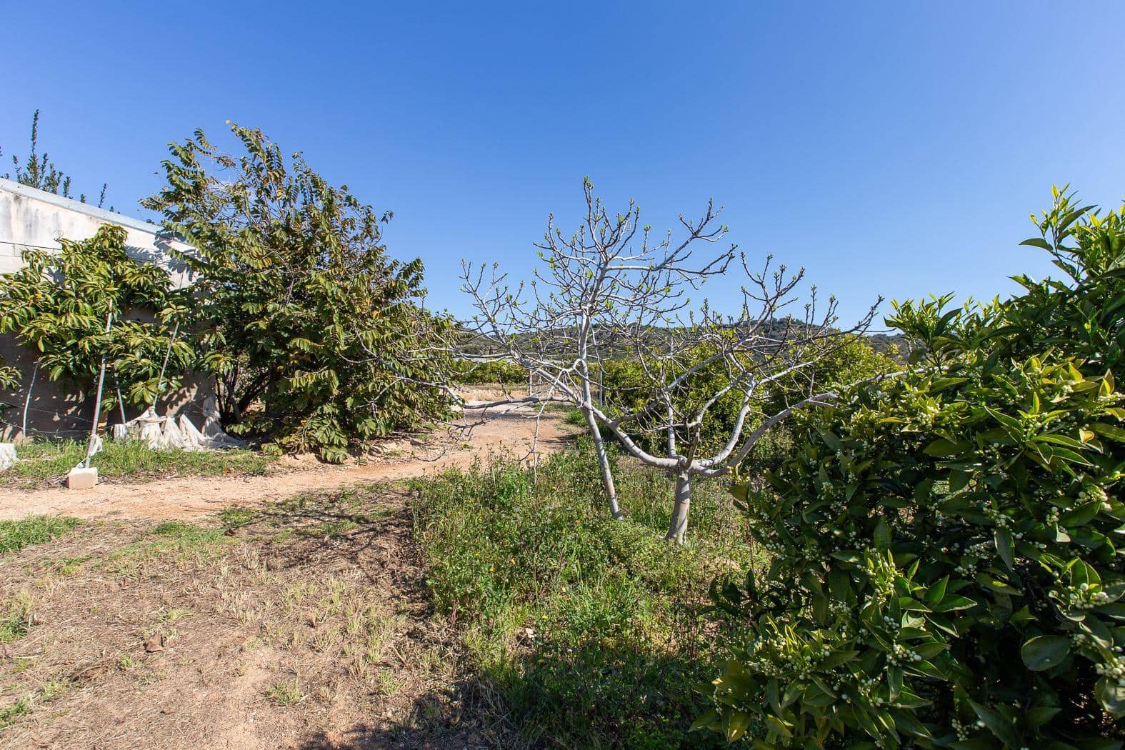 Grunde uden byggetilladelser til salg i Alcanar - € 147.500 (Ref: 8905469)