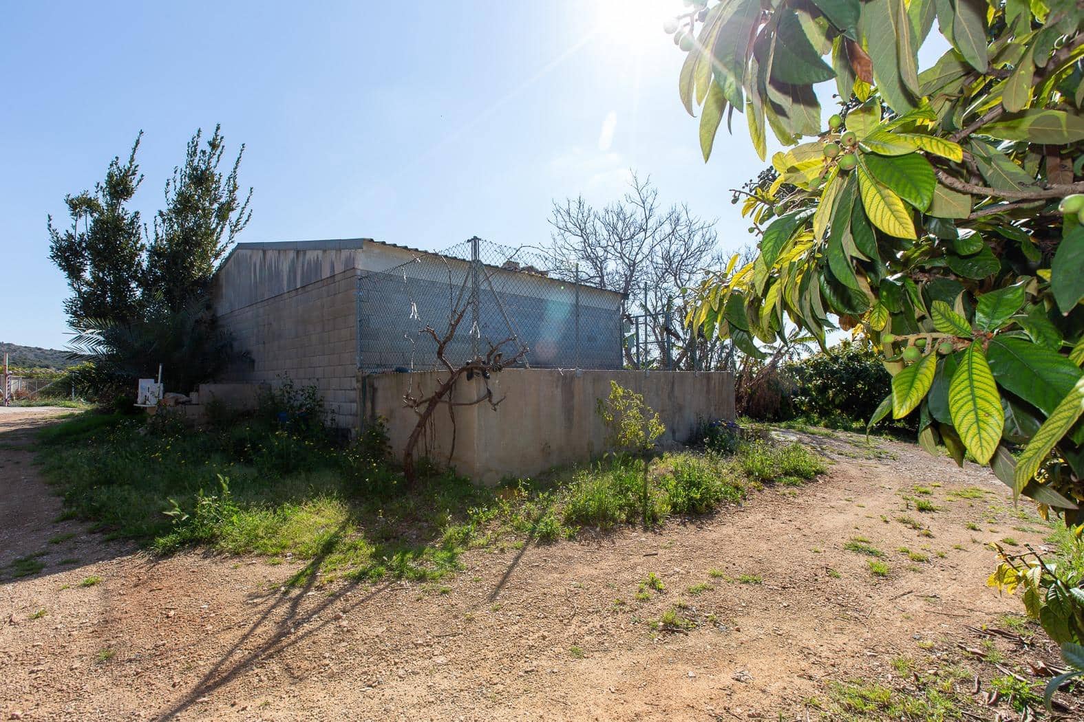 Grunde uden byggetilladelser til salg i Alcanar - € 147.500 (Ref: 8905469)