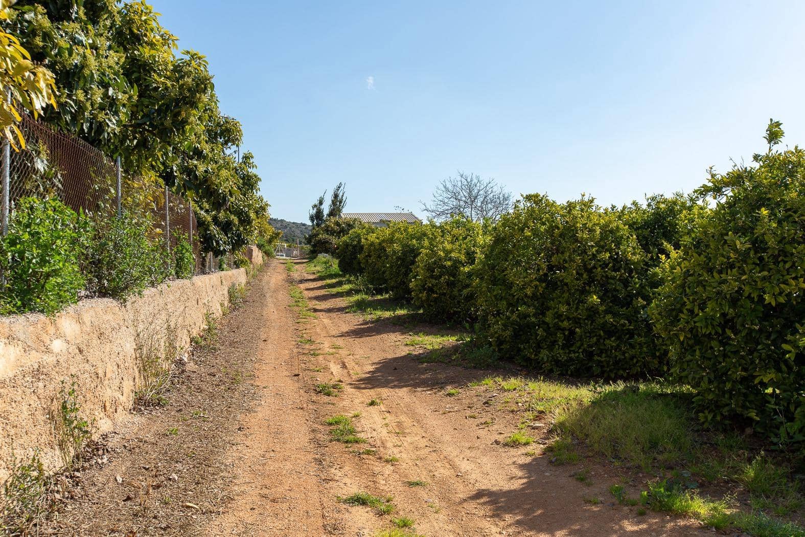 Grunde uden byggetilladelser til salg i Alcanar - € 147.500 (Ref: 8905469)