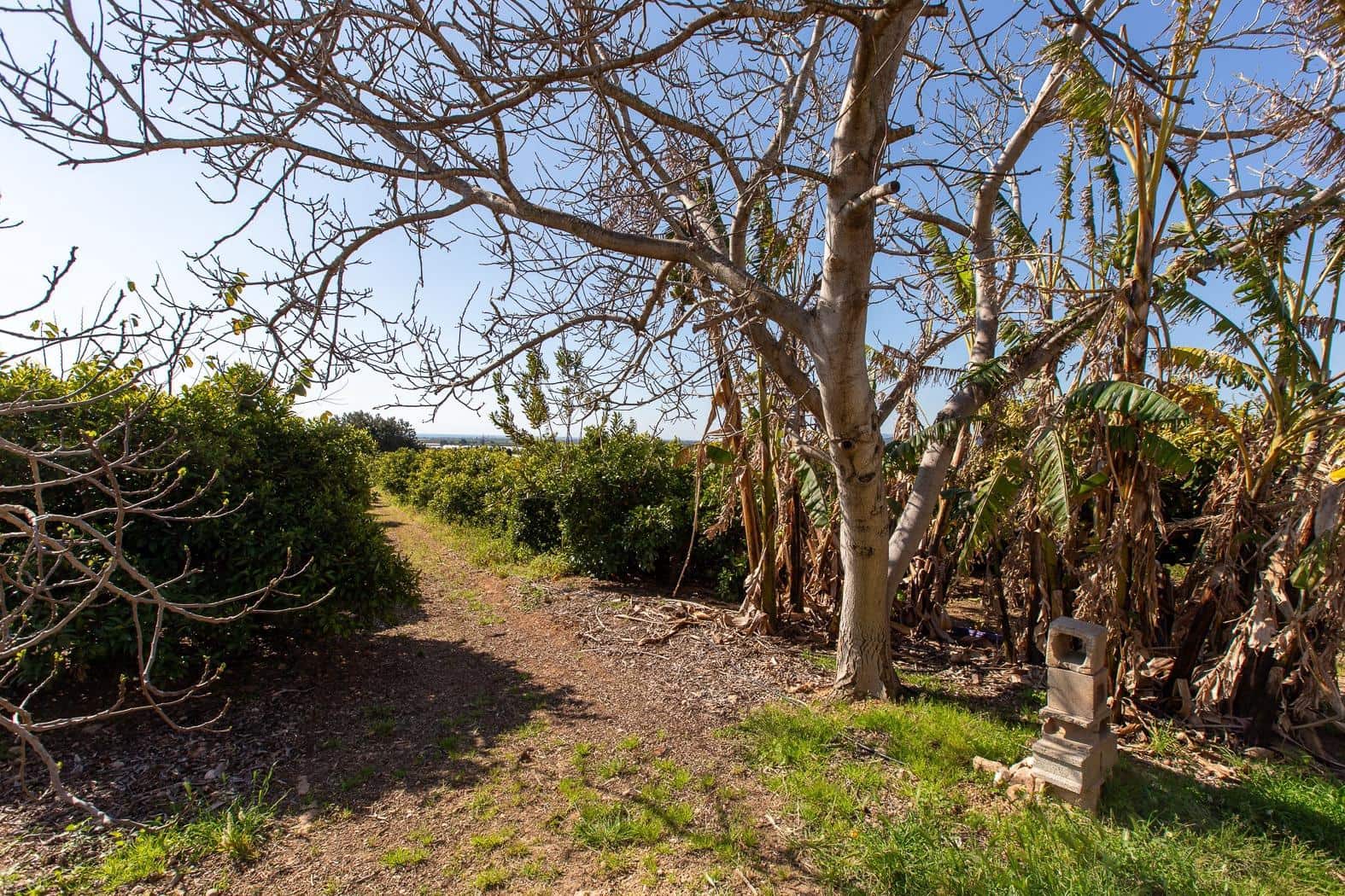 Grunde uden byggetilladelser til salg i Alcanar - € 147.500 (Ref: 8905469)