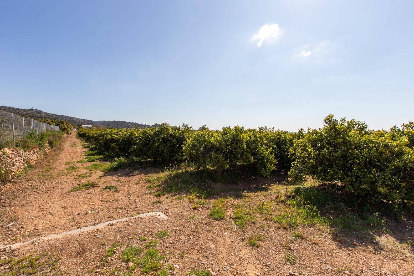 Grunde uden byggetilladelser til salg i Alcanar - € 147.500 (Ref: 8905469)