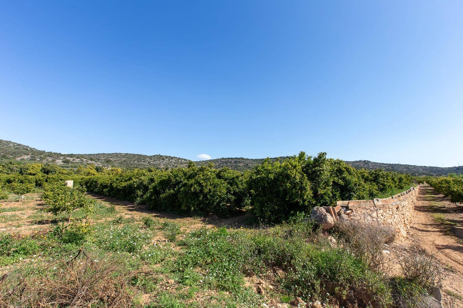 Grunde uden byggetilladelser til salg i Alcanar - € 147.500 (Ref: 8905469)