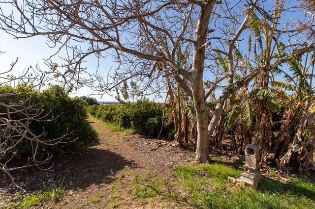 Undeveloped Land for sale in Alcanar - € 147,500 (Ref: 8905469)