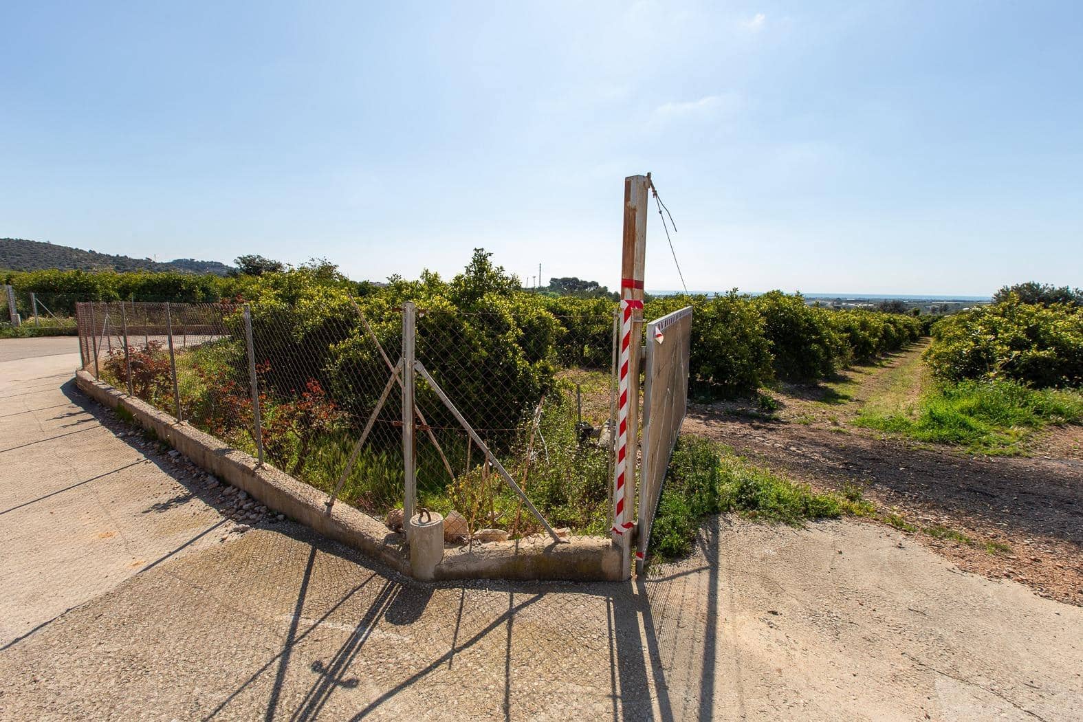 Grunde uden byggetilladelser til salg i Alcanar - € 147.500 (Ref: 8905469)